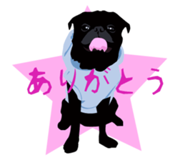 Black Pug DOM [RG] sticker #1105039