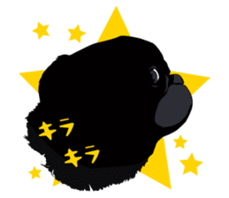 Black Pug DOM [RG] sticker #1105051