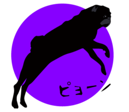 Black Pug DOM [RG] sticker #1105054