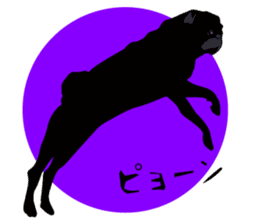 Black Pug DOM [RG] sticker #1105054
