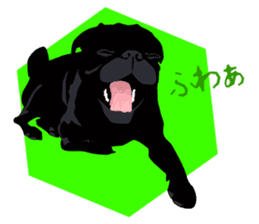 Black Pug DOM [RG] sticker #1105056