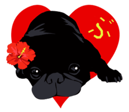 Black Pug DOM [RG] sticker #1105059