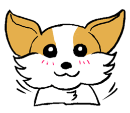 Mocha of Chihuahua sticker #1105386