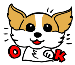 Mocha of Chihuahua sticker #1105396