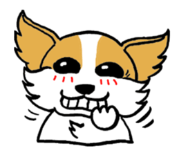 Mocha of Chihuahua sticker #1105398