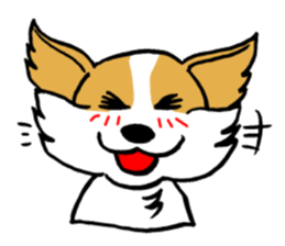 Mocha of Chihuahua sticker #1105399