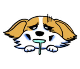 Mocha of Chihuahua sticker #1105400