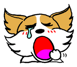 Mocha of Chihuahua sticker #1105401