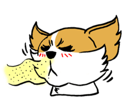 Mocha of Chihuahua sticker #1105403