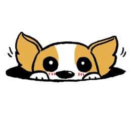 Mocha of Chihuahua sticker #1105406