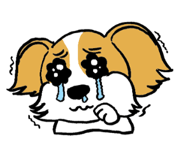 Mocha of Chihuahua sticker #1105411