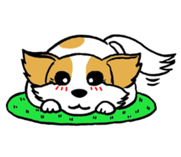 Mocha of Chihuahua sticker #1105417