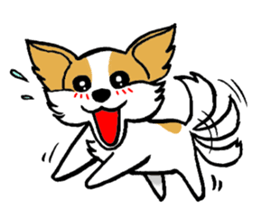 Mocha of Chihuahua sticker #1105418