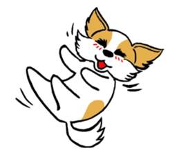 Mocha of Chihuahua sticker #1105419