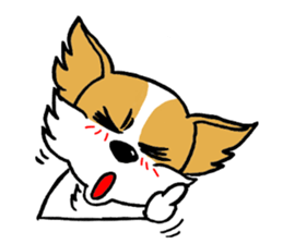 Mocha of Chihuahua sticker #1105425