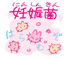 Let's get pregnancy! "ninkatsu" rabbits sticker #1106219