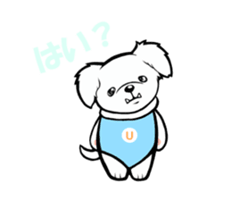 A delinquent Pekingese sticker #1106582