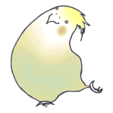 Cockatiel Big Family cute and at rest sticker #1110468