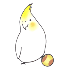 Cockatiel Big Family cute and at rest sticker #1110469