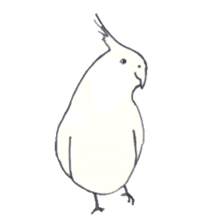 Cockatiel Big Family cute and at rest sticker #1110473