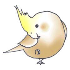 Cockatiel Big Family cute and at rest sticker #1110477