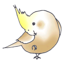 Cockatiel Big Family cute and at rest sticker #1110477