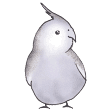 Cockatiel Big Family cute and at rest sticker #1110478