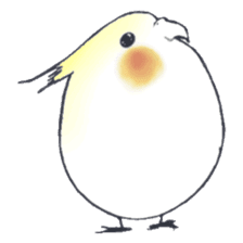 Cockatiel Big Family cute and at rest sticker #1110480