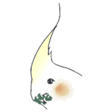 Cockatiel Big Family cute and at rest sticker #1110481