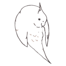 Cockatiel Big Family cute and at rest sticker #1110482