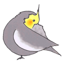 Cockatiel Big Family cute and at rest sticker #1110484