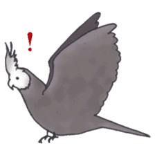 Cockatiel Big Family cute and at rest sticker #1110486