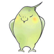 Cockatiel Big Family cute and at rest sticker #1110491