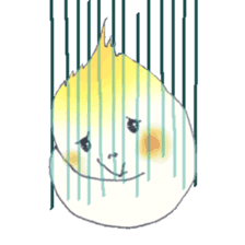 Cockatiel Big Family cute and at rest sticker #1110495
