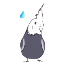 Cockatiel Big Family cute and at rest sticker #1110496