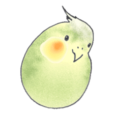 Cockatiel Big Family cute and at rest sticker #1110499