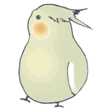 Cockatiel Big Family cute and at rest sticker #1110500