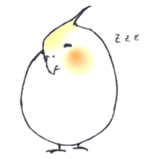 Cockatiel Big Family cute and at rest sticker #1110504