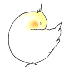 Cockatiel Big Family cute and at rest sticker #1110505