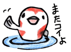 Zoo of puns sticker #1113346