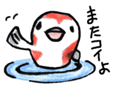 Zoo of puns sticker #1113346