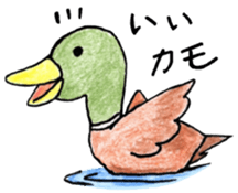 Zoo of puns sticker #1113359