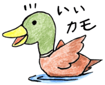 Zoo of puns sticker #1113359