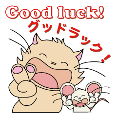 Noel and Chuchu are always together.