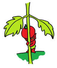 Tomato Boy !! sticker #1116569
