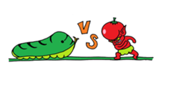Tomato Boy !! sticker #1116580