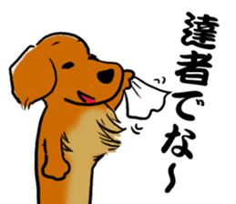 Tokyoite Edokko Dachshund sticker #1119070