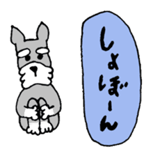 Miniature schnauzer Arao vol.3 sticker #1120695