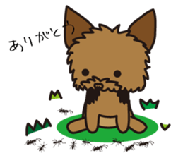 Takahashi Yorkshire Terrier sticker #1120707