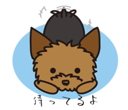 Takahashi Yorkshire Terrier sticker #1120712